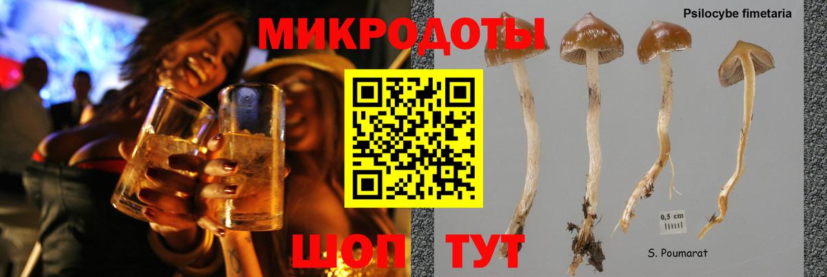 Галлюциногенные грибы Magic Shrooms  Вход с VPN  как найти наркотики  Галлюциногенные грибы Psilocybine cubensis  Гатчина 