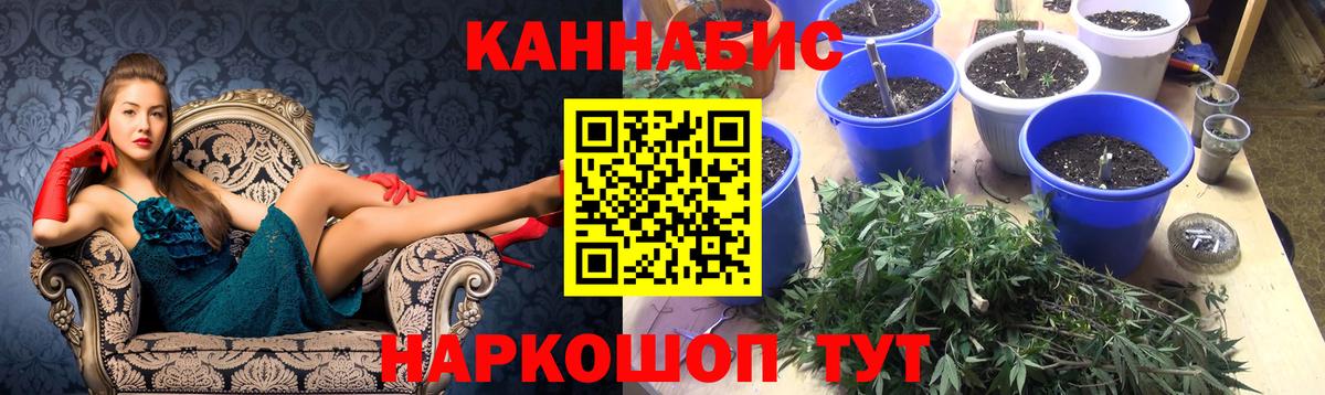 Канабис ГИДРОПОН  Марихуана семена  Вход с VPN  Бошки Шишки планчик  Гатчина  МАРИХУАНА индика 